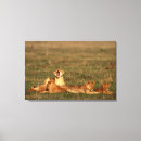 Suche nach tierfamilie leinwandbilder Natur