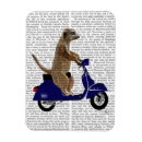 Suche nach moped magnete Zeitgenössisch