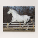 Recherche de running puzzles Stallion