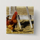Recherche de coq badges Animal
