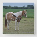Recherche de palomino posters Equestrian