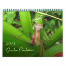 Suche nach käfer kalender Spinnen