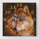 Recherche de wolfs horloges Dog