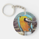 Suche nach macaw schlüsselanhänger Niedlich