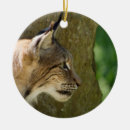 Suche nach wildkatzen ornamente Raubtier