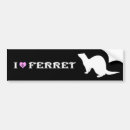 Recherche de furet voiture autocollants Mignon