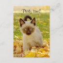 Recherche de siamois invitations Animaux