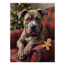 Suche nach amstaff poster Hund