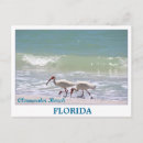 Suche nach clearwater beach poster Küste