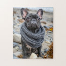 Recherche de le bouledogue puzzles Mignon