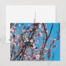 Recherche de moineau cartes postales Rose