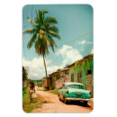 Recherche de cuba magnets Palmier