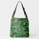 Recherche de fougères sacs Plantes