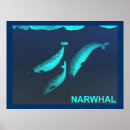 Recherche de mammifères marins posters Alaska
