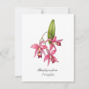 Recherche de orchidee rose vœux cartes Moderne