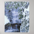 Suche nach mammutbaum poster Natur