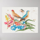 Recherche de oiseaux posters Amour