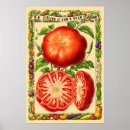 Suche nach gemüse kunst Tomate