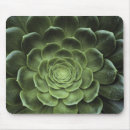 Suche nach kaktus mousepads Blätter