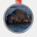 Recherche de natation ornements Mignon