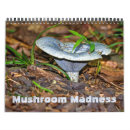 Suche nach schwanz kalender Pilze