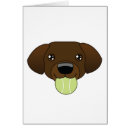 Suche nach brauner labrador postkarten Hündchen