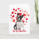 Recherche de boston terrier valentine Romantique