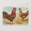 Suche nach leghorn postkarten Geflügel