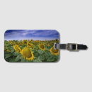 Recherche de gisement d accessoires Fleur