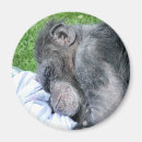 Suche nach humorvoll magnete Tiere