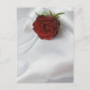 Suche nach satin postkarten Rose