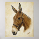 Suche nach maultiere poster Pferd