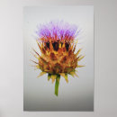 Recherche de artichaut posters Floral