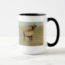 Suche nach geweih tassen Wapiti