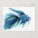Recherche de bêtas poissons posters Tropical