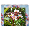 Suche nach plumeria kalender Hawaiisch