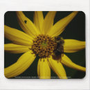 Suche nach hummel mousepads Natur