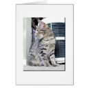 Suche nach inländisch postkarten Kätzchen