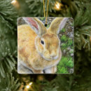 Recherche de lapin de pâques ornements Animal