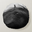 Recherche de chevaux décoration coussins Vie
