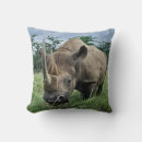 Recherche de corné photographie Corne de rhinocéros