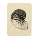 Suche nach naht magnete Muschel