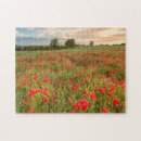 Suche nach mohnblumenfeld Landschaft