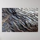 Suche nach truthähne poster Natur
