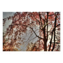 Suche nach kirschbaum kunst Frühling