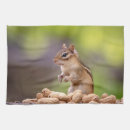 Suche nach chipmunks geschirr tücher Nagetier