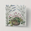 Suche nach lavendel blumen buttons Botanisch