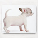 Suche nach seitenansicht mousepads Hunde