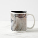 Recherche de panthères tasses Faune