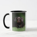 Suche nach dachshund tassen Tier